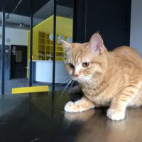 Salle de consultation